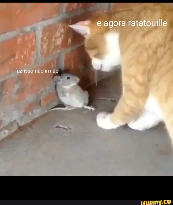 Faz isso não irmão - iFunny Brazil